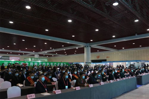 技術賦能，產業升級 2020中國三門峽食用菌新產品新技術博覽會暨第三屆全國香菇產業創新發展大會紀實